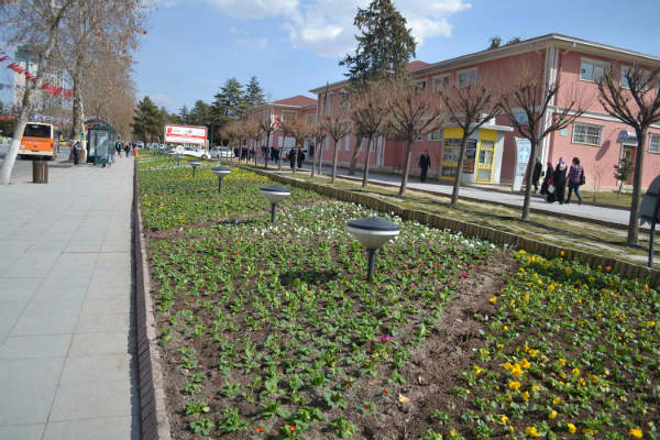 Malatya geneline 170 bin lale – 300 bin mevsimlik çiçek dikiliyor