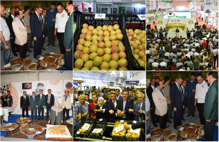 Güneşin Altın Yumurtası Kayısı Festivalinin 23’üncüsü Mişmişpark Fuar alanında düzenlenen törenle açıldı.