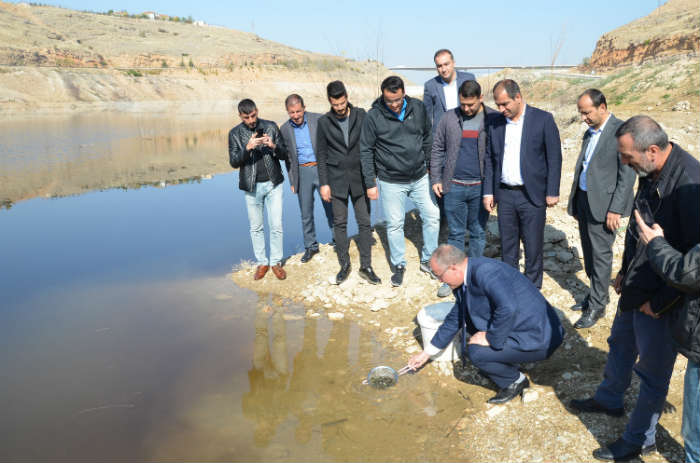 Su Kaynaklarının Balıklandırılması’ projesi kapsamında Yeşilyurt Belediyesinin destekleriyle 10 bin adet pullu sazan bırakıldı