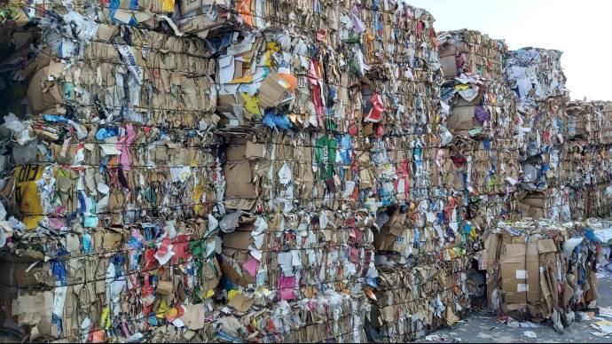 557 Ton Kağıt Karton Ambalaj Atığı Toplayarak 9.469 Adet Ağacın Kesilmesine Engel Olduk