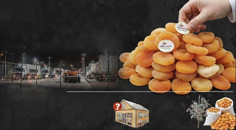 Malatya Kayısısında Asıl Sorun Sınırda Değil, Şehirde: